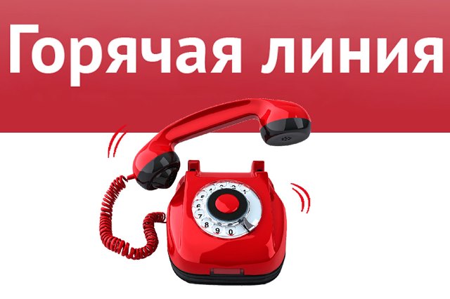 Кадастровая палата Ульяновской области проведет горячую линию по вопросам предоставления сведений из ЕГРН