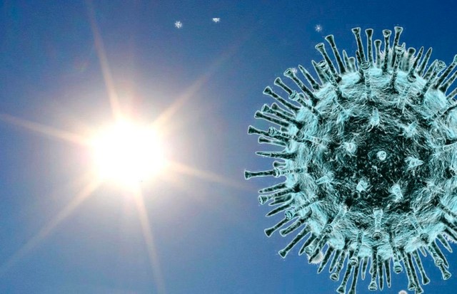 Правда ли, что воздействие тепла на организм помогает защититься от коронавируса?