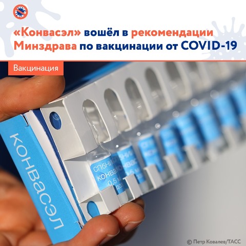 Препарат «Конвасэл» внесён во временные методические рекомендации Минздрава России по вакцинации взрослых против коронавируса
