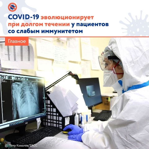 COVID-19 эволюционирует при долгом течении у пациентов со слабым иммунитетом