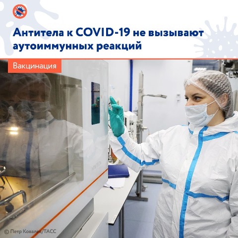 Антитела к COVID-19 не вызывают аутоиммунных реакций