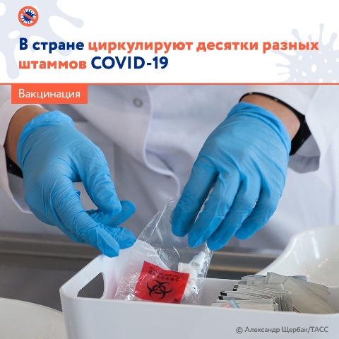 В стране циркулируют десятки разных штаммов COVID-19